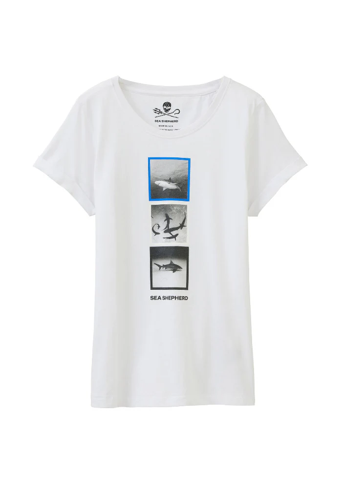 Vorschaubild 6