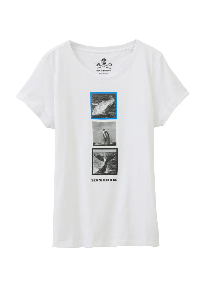 Vorschaubild 10